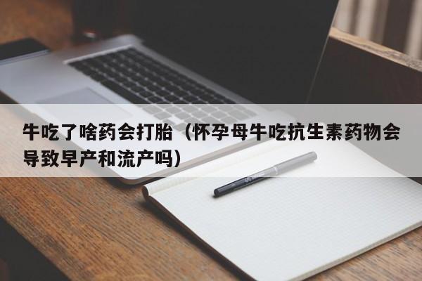 牛吃了啥药会打胎(怀孕母牛吃抗生素药物会导致早产和流产吗)