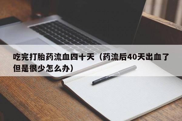 admin
